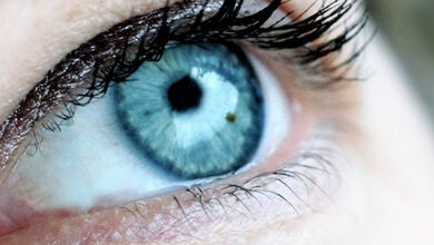 Ich will dich mit meinen Augen leiten