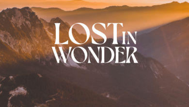 LOST IN WONDER